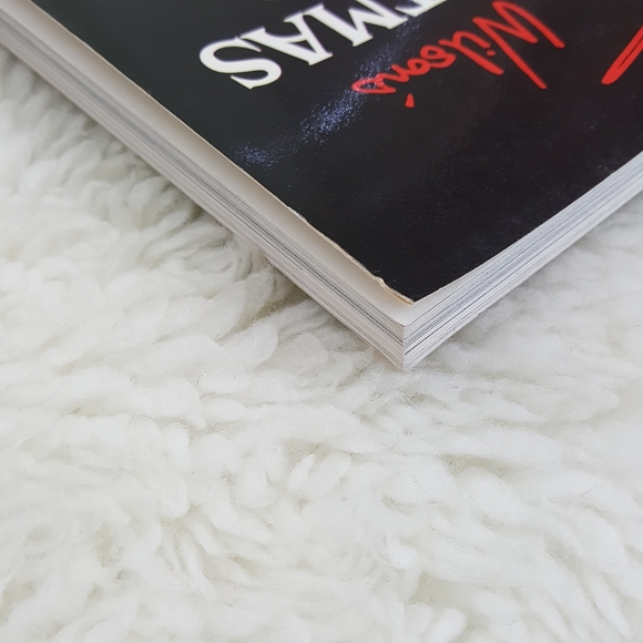 Erica Wilsons Christmas World Craft Project Book - Picture 13 of 16